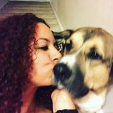 Available: Fishers Pet sitter and dog walker