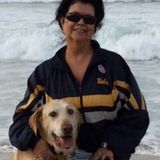 Seasoned Petsitter in Seal Beach