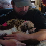 Available For Pet Care Jobs In Barstow!