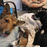 Kind & Loving Teen Looking for Work