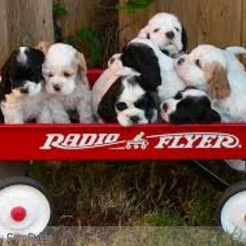 Pet Care Provider Shirley W's Profile Picture