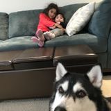 Full time long term nanny in Barrhaven - starting Aug 2019