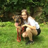 Loving Animal Caregiver - Available Immediately