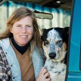 Searching for an Animal Lover Opportunity in Warren and surrounding areas. Professional care of your dog/s, horse/s.
