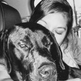 Meticulous and Dependable Pet / House sitter for Hire