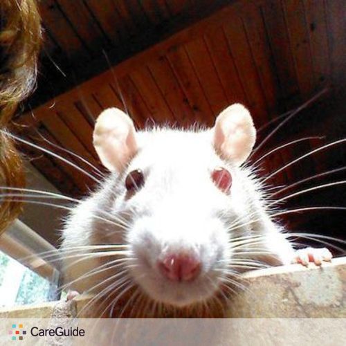 Pet Care Provider Anna W's Profile Picture