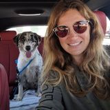 Experienced pet/house sitter - excellent references