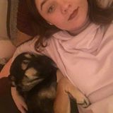 Drexel Hill Pet Sitter and former Animal Care Technician Looking For Work in Delaware County, Pennsylvania.