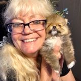 Dedicated, accountable and capable Animal Care Provider seeking animals I can take care of and love on!