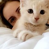 Lover of All Animals