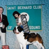 Lived and Loved Dogs all my Life!