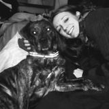 Berwick Pet Sitter Looking For Work in Pennsylvania