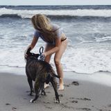 Hard Working Animal Lover/ Pet Caretaker Professional