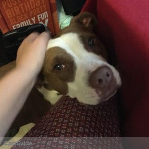 Pet Care Job Leyton Prentice's Profile Picture