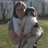 Flexible Dog Walking Available Now!