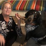 Reliable dog Lover who will take amazing care of your babies with awesome references and experience.
