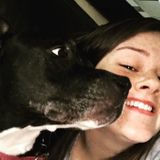 Hardworking Dog Sitter