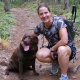 Talented House sitter / Dog Walker in Thornbury