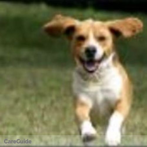 Pet Care Provider Jayla T's Profile Picture