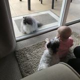 Part Time Care Needed