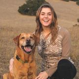 Honest, Reliable, and a Neat Freak! - House/Pet Sitter in North Bay!