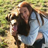 Caring Dog Walker/Sitter in Redding