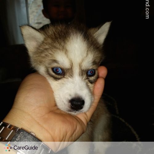 Pet Care Provider Ian Emering's Profile Picture