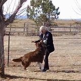 My people thrive.30 plus years of excellent care in Ft. Collins and Greeley. I will be some one you can count on.