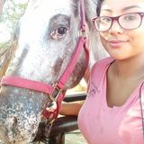 Pet Sitter