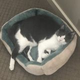 Im here to work with animals and get experience for high school. :) Honest Animal Caregiver in Edmonton, Alberta.
