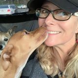 I am a Montessori teacher with 20 years experience teaching children.