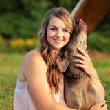 Trustworthy Pet Care Provider for Your Home