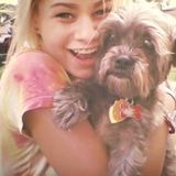 Hard Working Pet Groomer in Arlington Heights