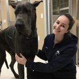 Registered Veterinary Technician! Who could be more qualified?
