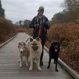 Casey Schievink pet care provider