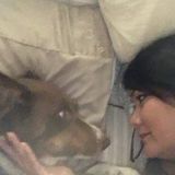 Dependable, very loving pet sitter
