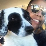 Caring House Sitter