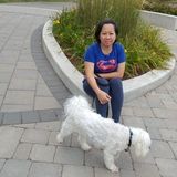 Energetic and responsible nanny