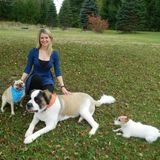 House Sitting Service Provider