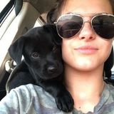 For Hire: Capable Pet Service Provider in Wentzville, Missouri
