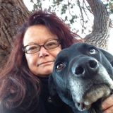 Present Caretaker in Marin and the North Bay