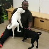 Certified Obedience Dog Trainer Here To Assist You In Any Way!