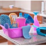 Housekeeper/live-out care