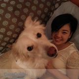 Japanese & English Speaking Nanny is Available for Weekday Evenings/Weekends/Holidays!