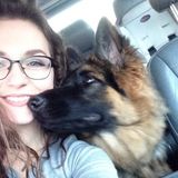 I am an avid animal lover, borderline obsessive. I am very flexible to the needs of your pet, and offer trustworthy services.