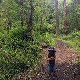 Fabulous caregiver available for part-time nanny-share