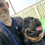 Loving, qualified pet care provider:)