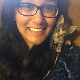 Seeking Pocono Summit Petsitter Jobs