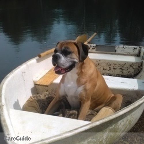 Pet Care Job Corrine Munro's Profile Picture