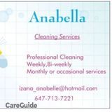 Anabelle cleaning services